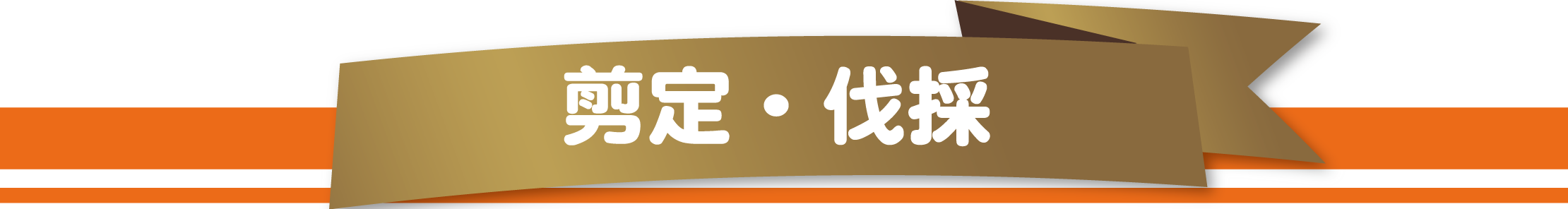 感謝を込めて片付け屋地域No.1を目指します。